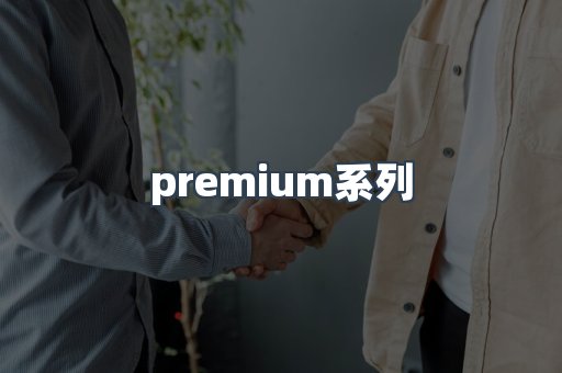 premium系列